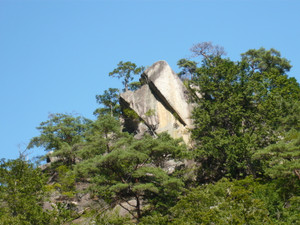 P1010439