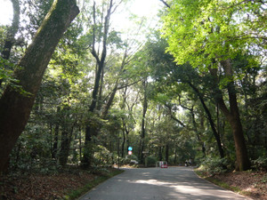 P1010488