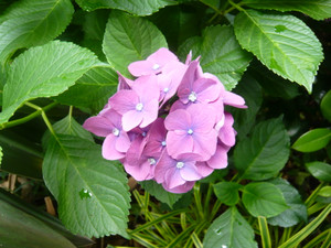 P1020033