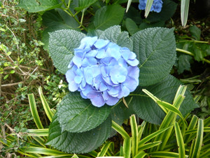 P1020034