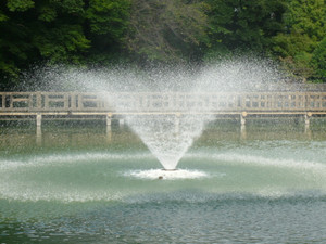 P1020077