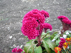 P1020101