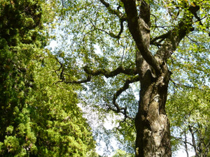 P1020087