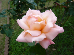 P1020148
