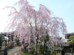P1020230