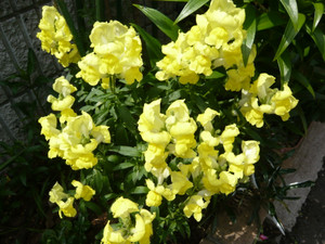 P1020296