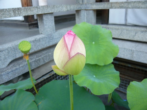 P1020040