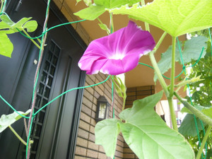 P1020320