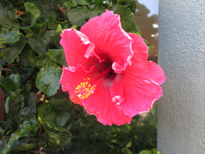 089