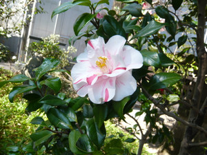 P1010800